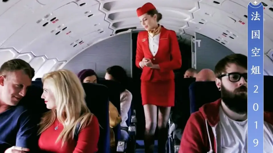 《法国空姐2018(多塞尔航空)》《法国空姐2019满天星法版》相关资源图片