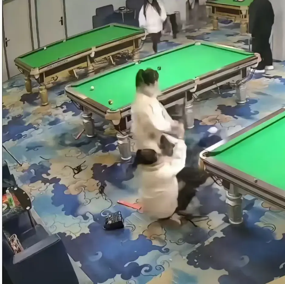 超刺激！《台球厅三狠人事件》里精神少女于台球厅真人互锤，三女子互打视频全解析，免费高清分享别错过！