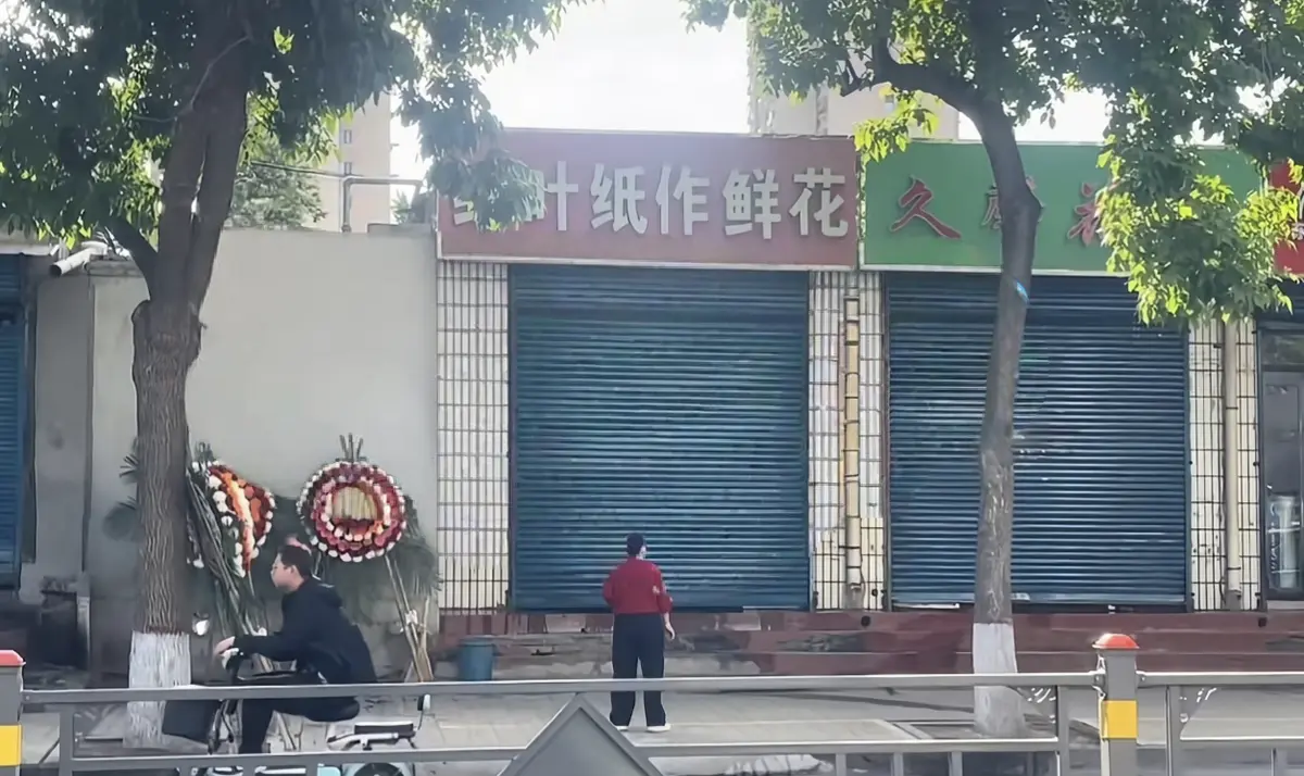 原平纸作鲜花店门口免费播放超清