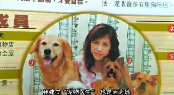 《女人与狗》HD高清正片播放-未删减版-免费在线观看1080P超清画质全集，催泪人狗故事解析