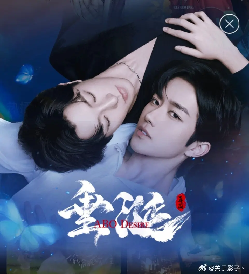 资源图片