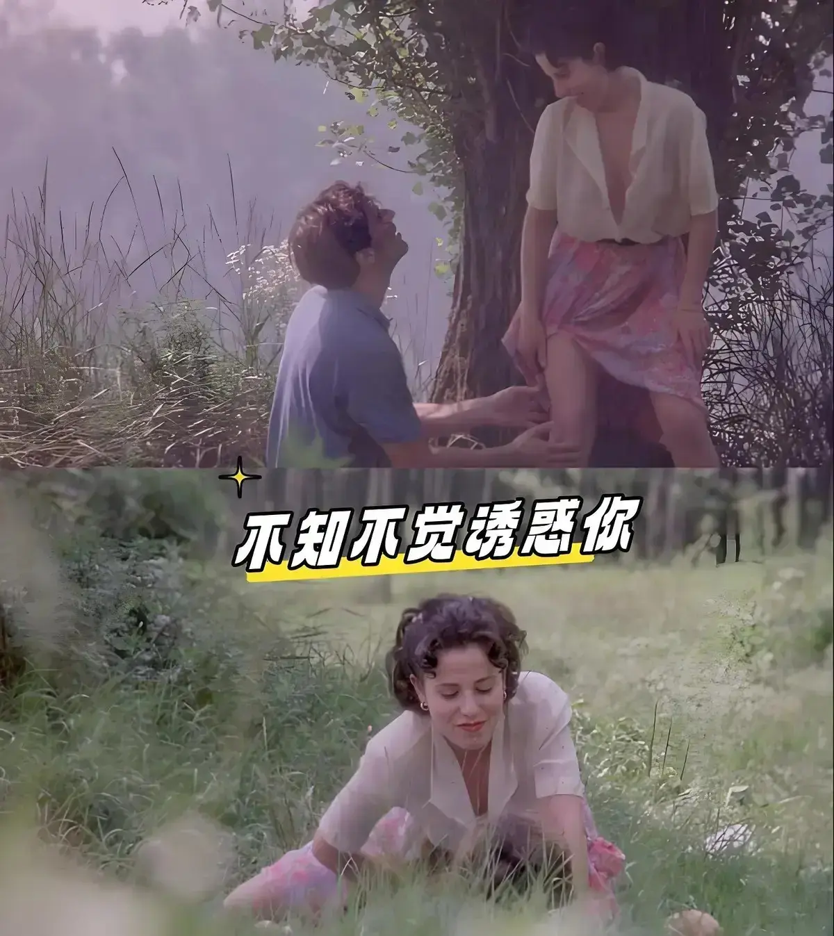 《不知不觉诱惑你》相关资源图片