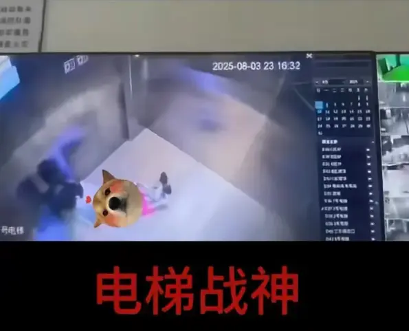 资源图片