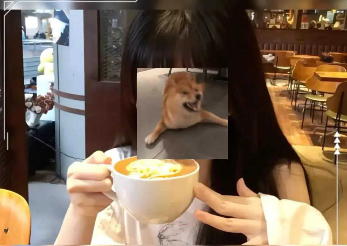 《深海蜜柚》相关资源图片