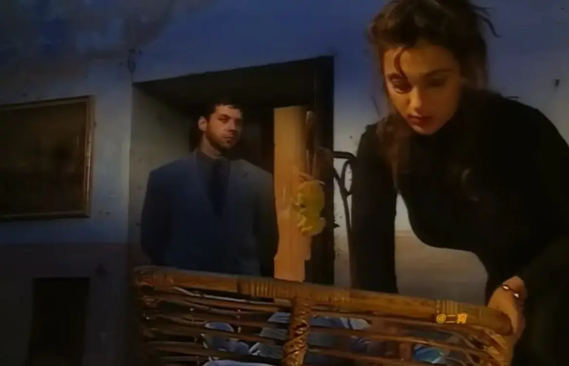 赛伦Selen主演《那不勒斯风格的剧本》1994意大利电影在线观看-《Sceneggiata Napoletana（1994）》高清未删减