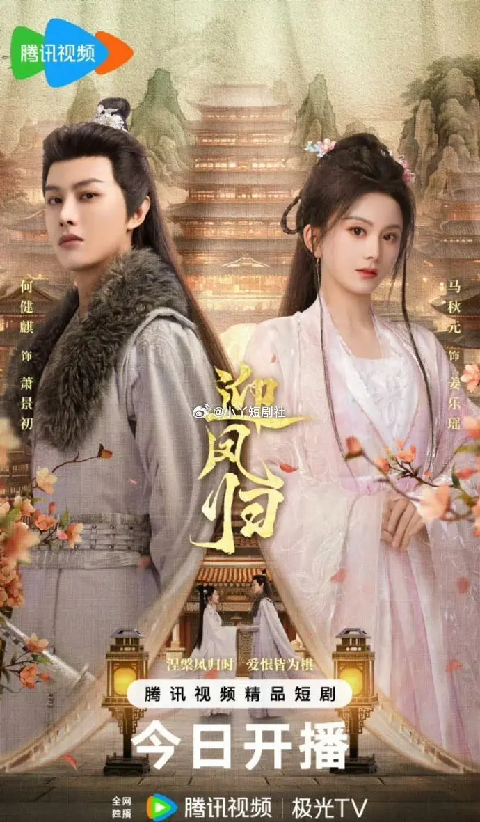 《迎丨凤归》相关资源图片