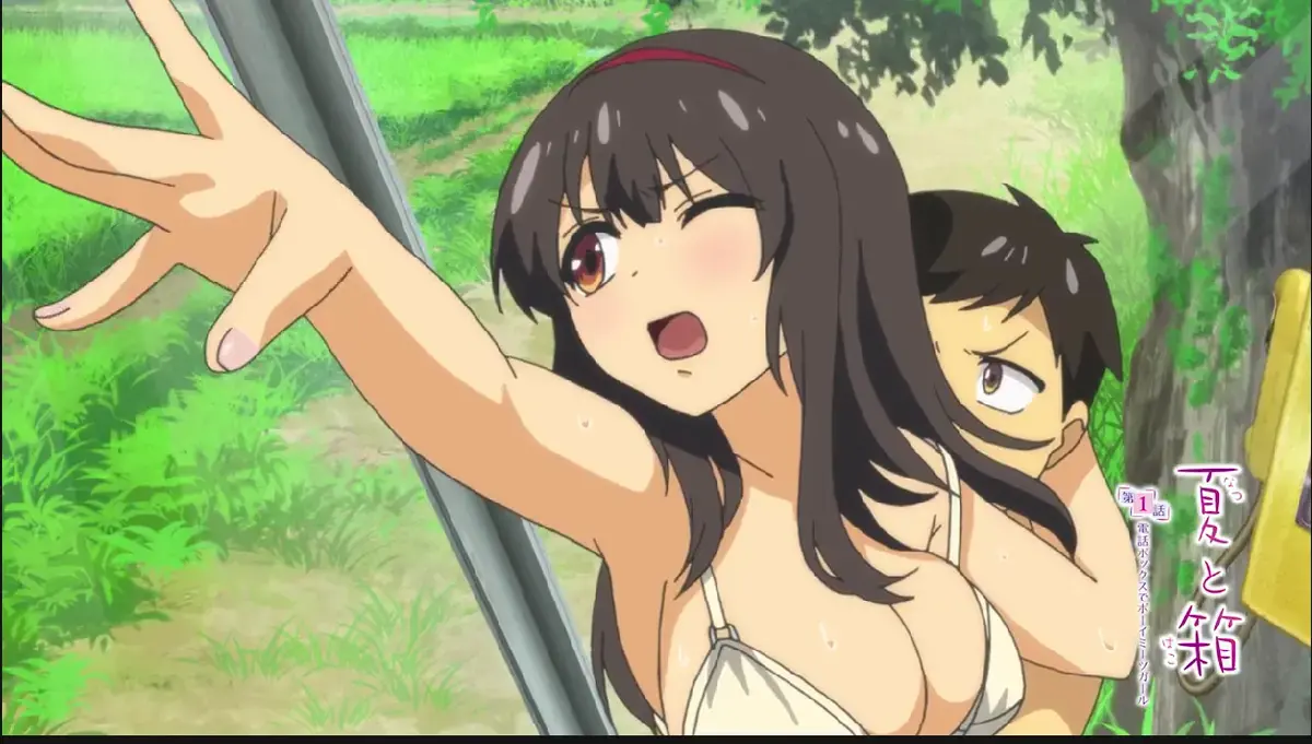 【2026新番】日漫《夏与箱》《夏と箱》无广告纯净版全集-1080P超清画质+中文字幕-未删减完整剧情-免费在线追番+网盘资源