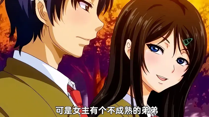 《御手洗さん家の事情》1080P超清无删减全季
