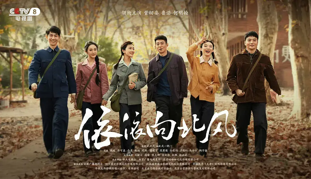 大陆国产剧《依依向北风》网盘资源 - 《依依向北风》高清全集免费看 - 未删减无广告手机端