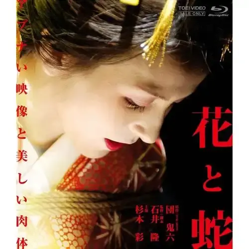 日本电影《花与蛇》1080P高清无删减-《花与蛇》免费在线观看-夸克网盘4K原画下载