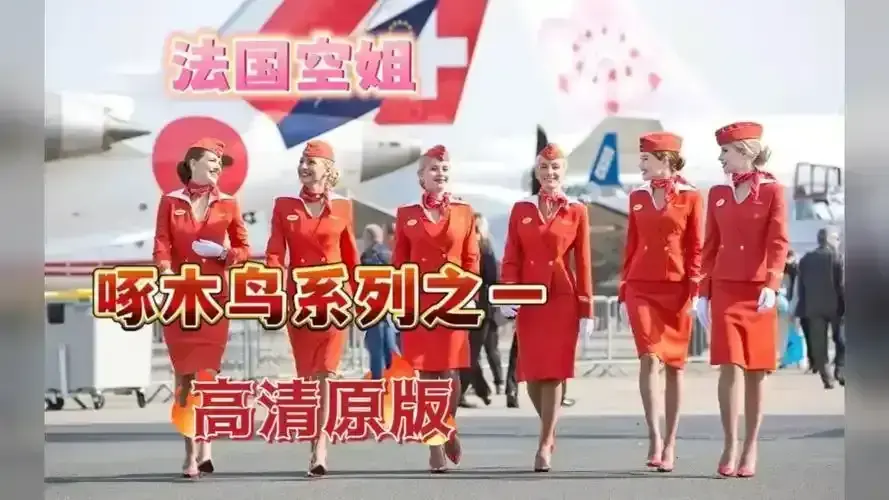 《法国空姐》1080P高清全集无删减-《法国空姐》中文版免费在线看全季-好剧分享2026资源