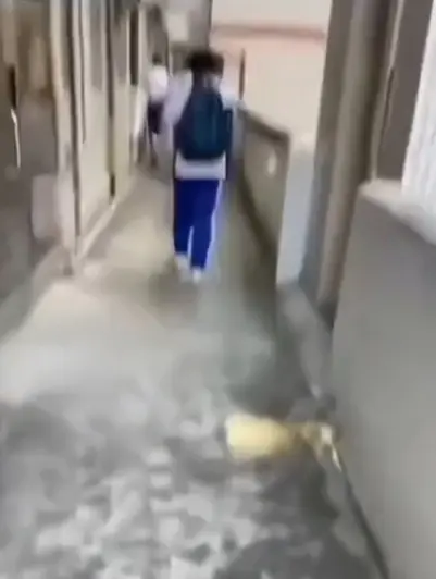 震撼！《大昌市第七中学》教室走廊惊现诡异身影，蓝光画质免费在线观看，同步揭秘《大昌市第七中学》绝密调查档案，别错过！