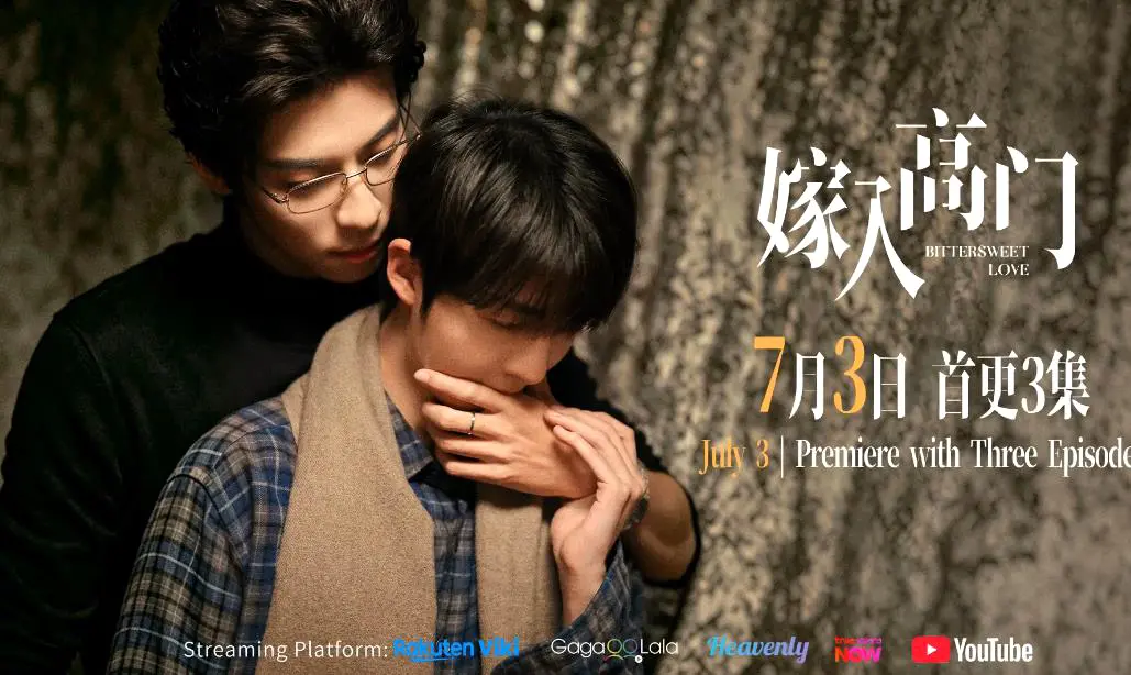 2026新剧《嫁入高门的男人》双男主爱情剧22集全季HD高清免费在线看 - 《嫁入高门的男人》星空影院无卡顿播放