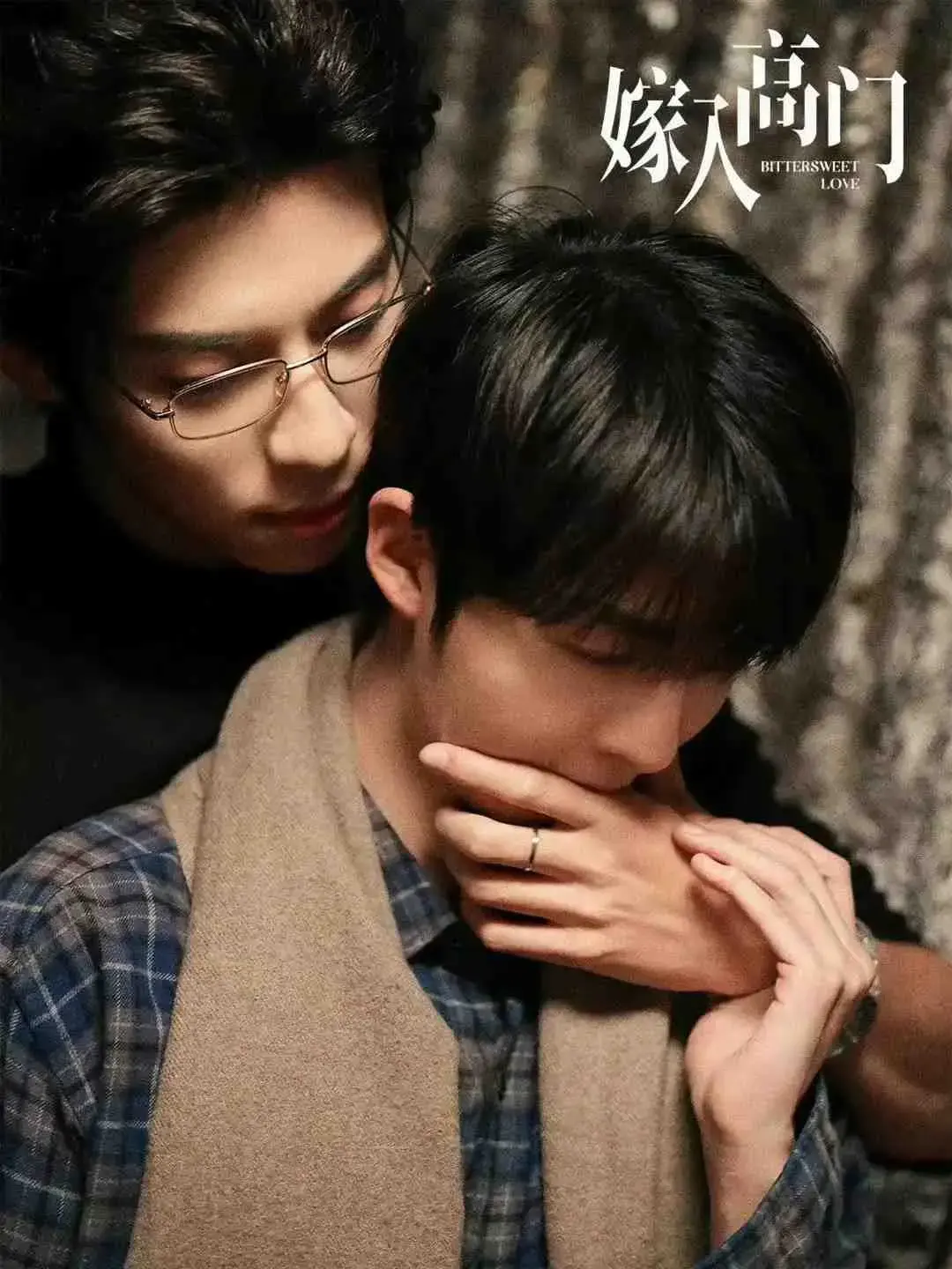 2026超热门双男主爱情剧《嫁入高门的男人》，全季高清无广告在线观看，纯净极速播放-VS影院