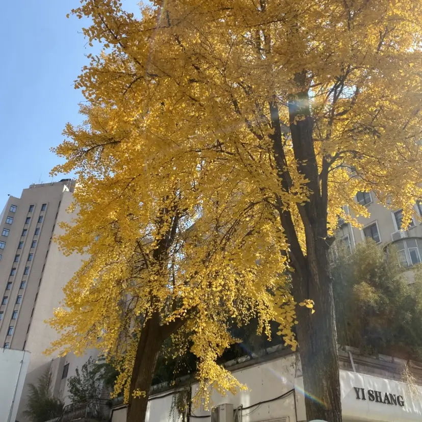 浪漫感官典藏合集-百度网盘独家silk_labo系列-1080P无删减HD中字-女性向全集